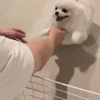 「おかえりなさい！待ってたよ～」