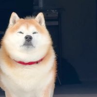 雪見で冬を満喫♡