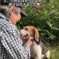 リードを取り付ける