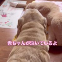 赤ちゃんの泣き声を聞いて…