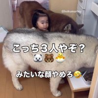 余裕たっぷりな赤ちゃん