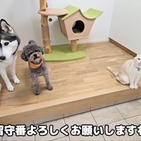 「いい子で待ってるね！」「頑張れ～！」