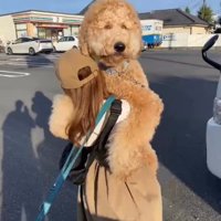トリックアートみたい！！