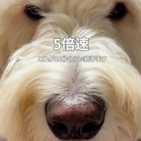 10分以上続くことも%分以上続くことも