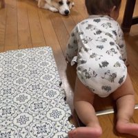 赤ちゃんを見守るまる君