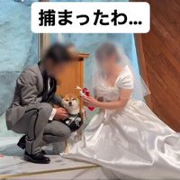 リングドッグに挑戦する大吉くん9