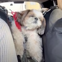 センターで爆睡中