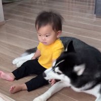 甘噛みするジジちゃん