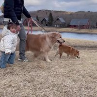 たくさん遊んだよ