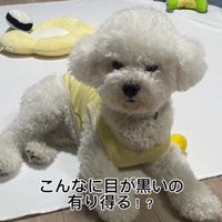 パパが撮ったポテトくん3