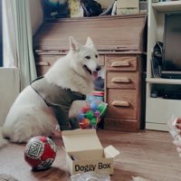 BJ くんに「お風呂入る？」と聞いたら7