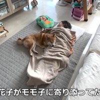 寝ている女の子にぴとっ