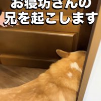 お兄ちゃんの部屋へ