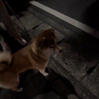 耳をすまして…