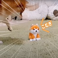 喋るおもちゃ