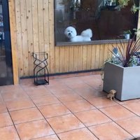 ショーンくんのお迎え