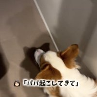 「はーい」