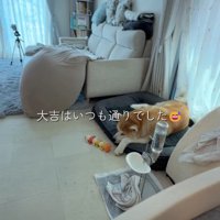 素晴らしい家族の始まり