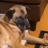 パパが熱唱している時のアキちゃん7