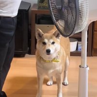 久々の再会も喜ばない