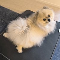 おみ足