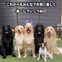 笑顔全開の幸せな毎日