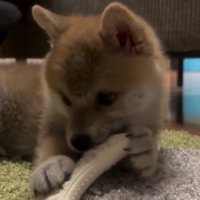 あどけなさたっぷり♡