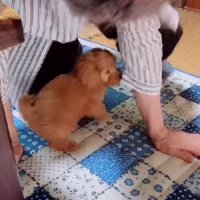 「やっと遊べる～♪」