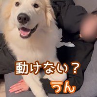 笑顔のそら君