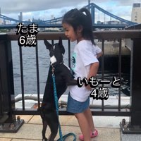 後ろ足で立ち上がった犬の前足を自分の背中に回す女の子