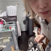 おとぼけ顔で乗り切ります