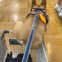 必死な姿が可愛い（笑）