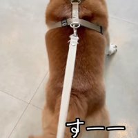 「逃げられないよ～」