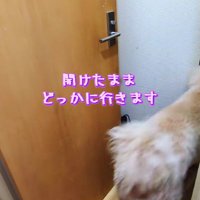 突然飽きるところも可愛い♡