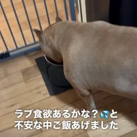 母を亡くした翌日…