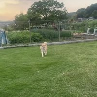 なんとか許してくれました！