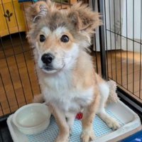 お顔も体型も変わりすぎ！