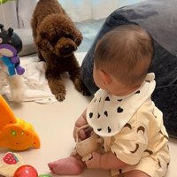 赤ちゃんと遊びたいからあげ君