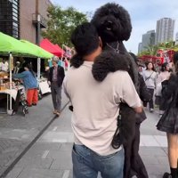「もう歩きたくない」