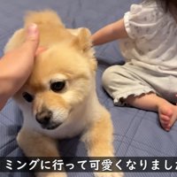 パパさんもナデナデすると…