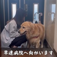 やっとリード装着♪