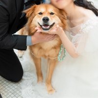 結婚式
