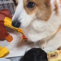 嫌がる息子さん