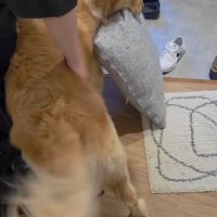 markくんとお兄ちゃんの再会3