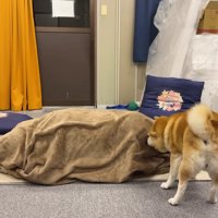 「やっぱりお姉ちゃんだ！！」