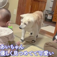 まるでおばあちゃんと孫みたい