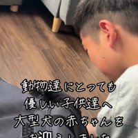 サプライズをプレゼント