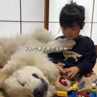 すっかり夢見心地