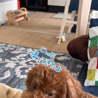 まさかの塩対応