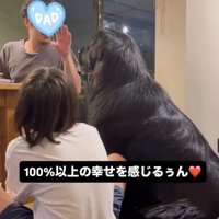 燃え盛るお父さんへの愛